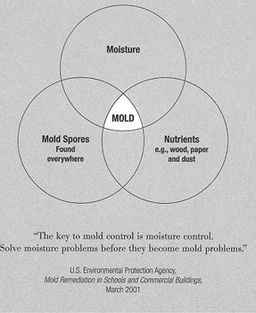 Mold & Moisture  Environmental Health